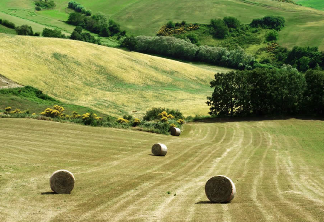 Colline verdi molisane